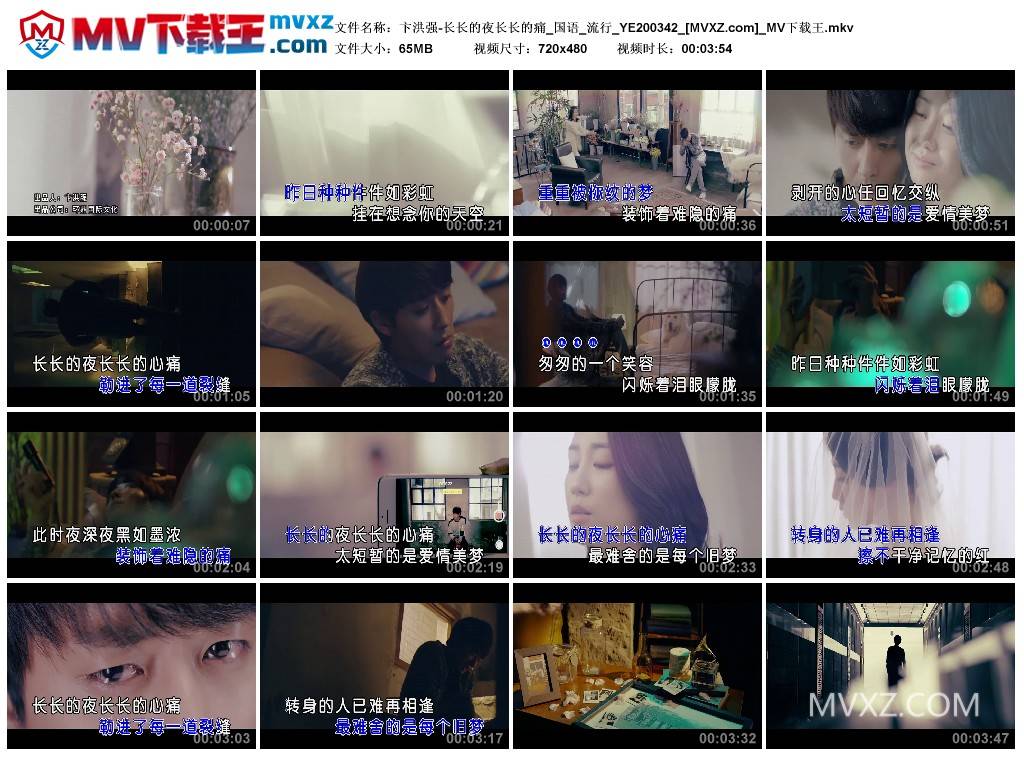 卞洪强-长长的夜长长的痛_国语_流行_YE200342